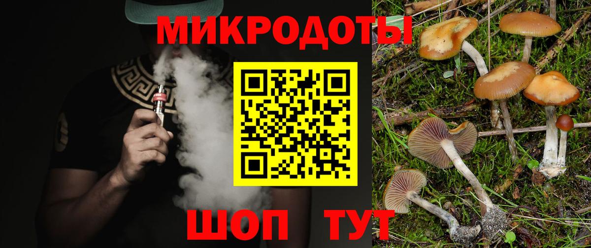 Галлюциногенные грибы Cubensis Карпинск
