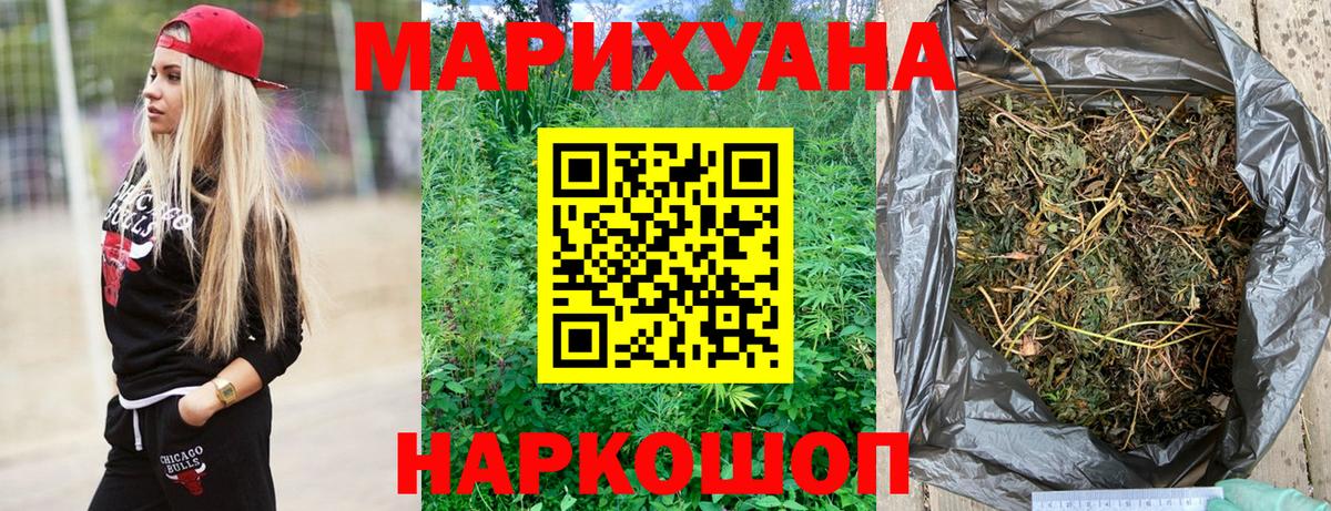 Канабис планчик Карпинск